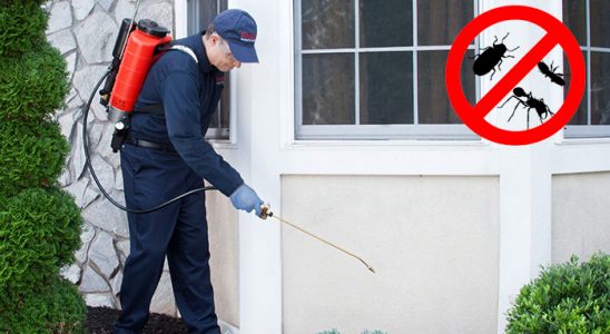 Dinar Akrep İlaçlama böcek ilaçlama ve haşere kontrolü — ilaclama-tr.com